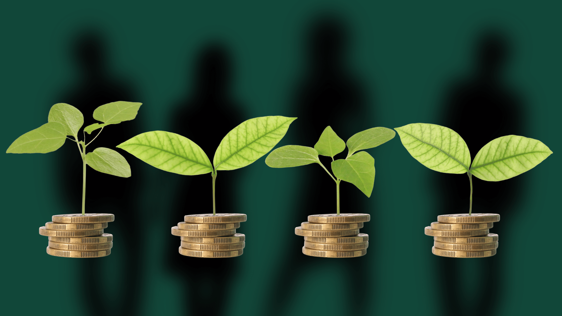 Crowdfunding for Sustainability: Creating a Platform for Sustainable Ideas